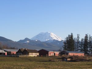 Enumclaw Farm & Mt. Rainier