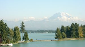 Lake Tapps Driftwood View